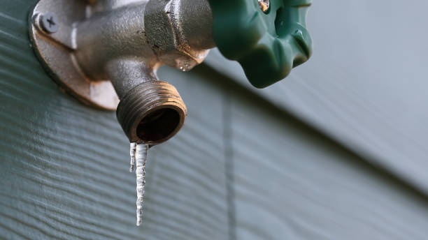 Best Plumbing Inspection Services  in Kountze, TX